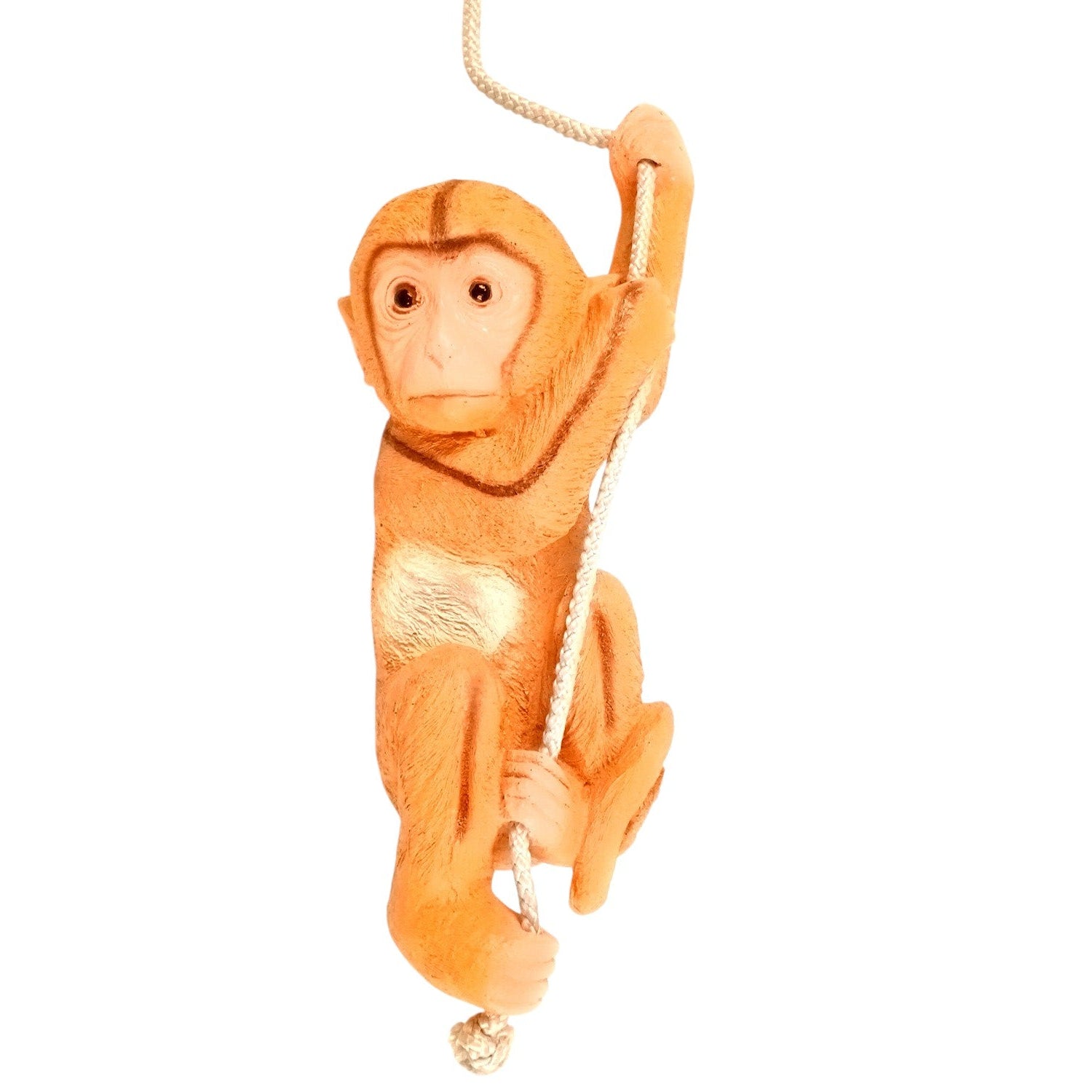 Monkey Hanging on Rope Wall Hanging | Decorative Animal Showpiece for Home, Garden, Living Room & Kids Room | Unique Wall Décor & Gift - 14 Inch - Apkamart
