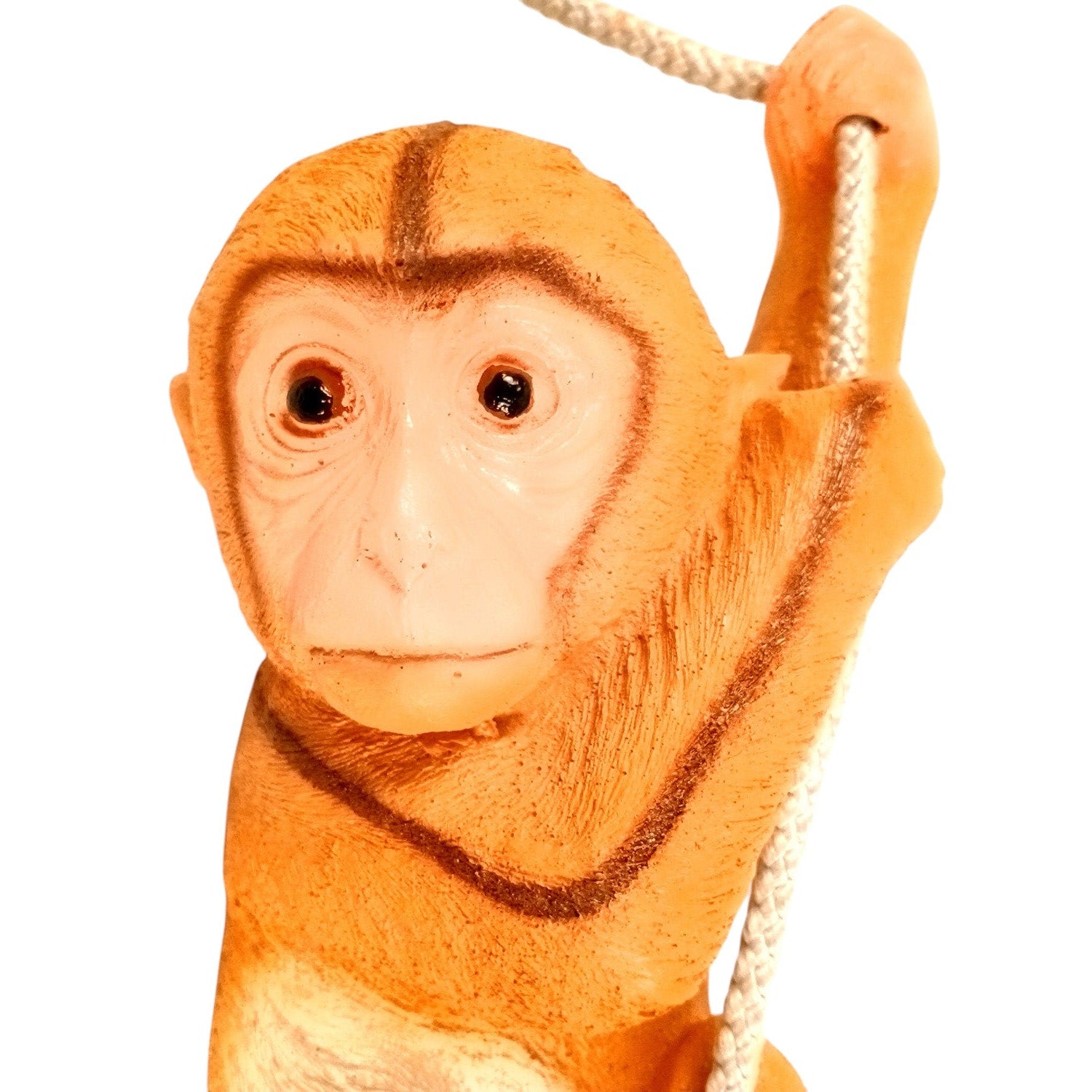 Monkey Hanging on Rope Wall Hanging | Decorative Animal Showpiece for Home, Garden, Living Room & Kids Room | Unique Wall Décor & Gift - 14 Inch - Apkamart