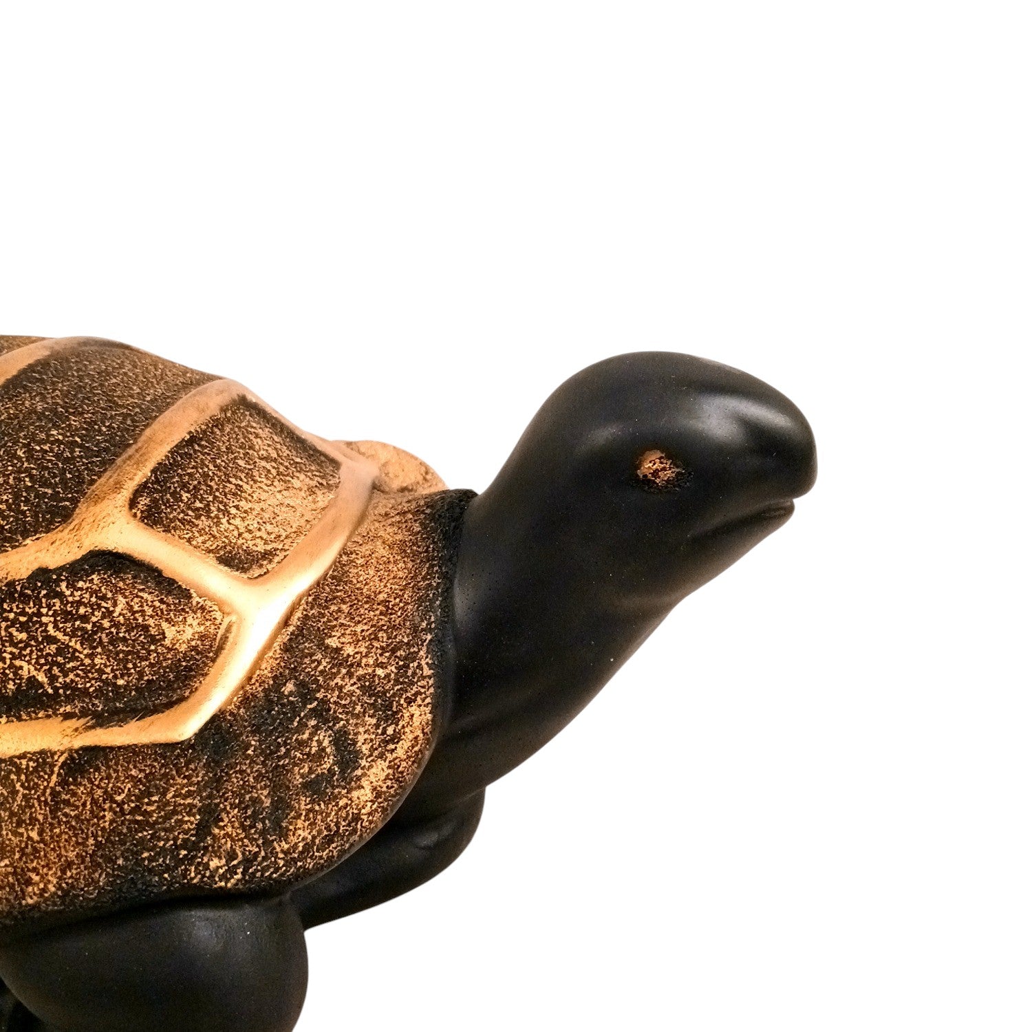 Tortoise Feng Shui Showpiece Set | Lucky Tortoise Statue for Vastu & Home Décor | Decorative Animal Figurine for Living Room, Office Table & Gifting - (Set of 2) - Apkamart