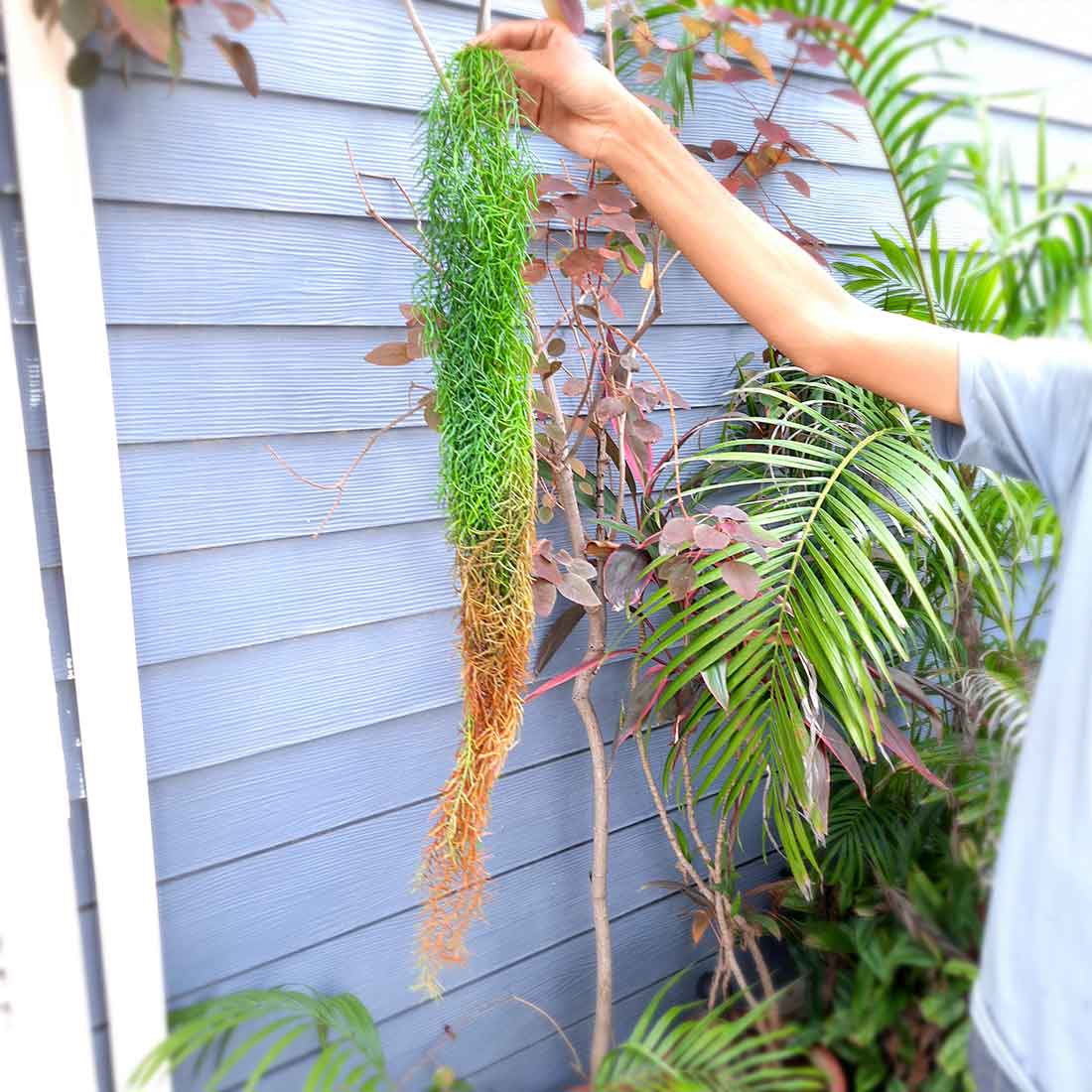 Artificial Plant- Leaf Plant with Metal Stand - For Home & Wall Decor - ApkaMart