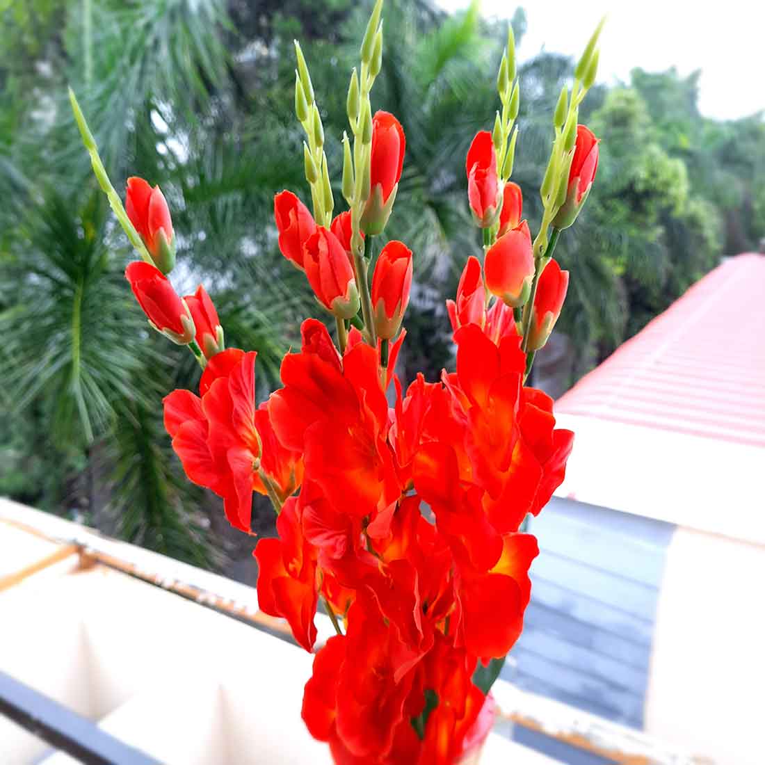 Artificial Flowers Bunch- Apkamart #color_Yellow & Red