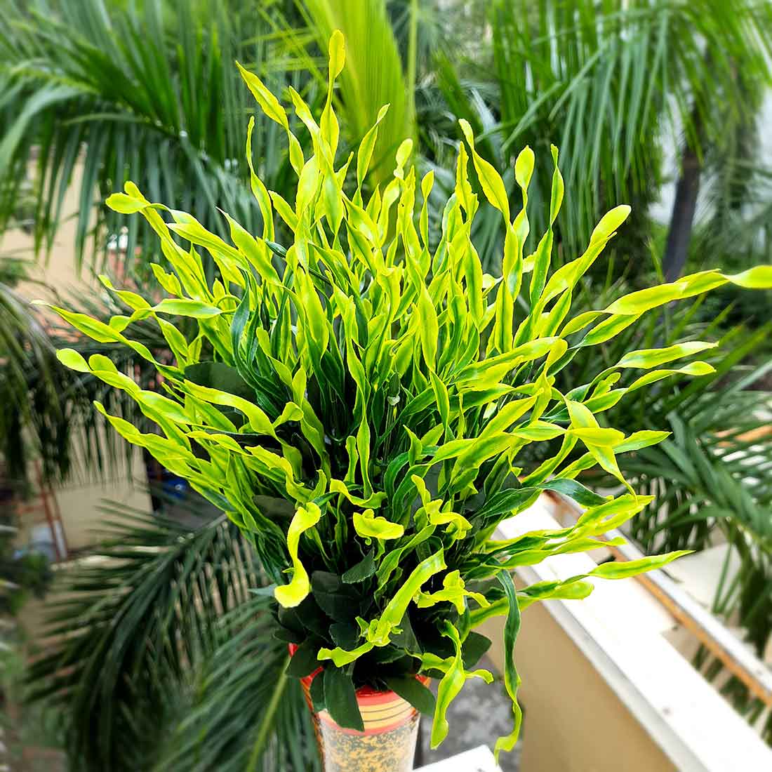 Artificial Plants and Flowers - For Home & Office Décor - ApkaMart