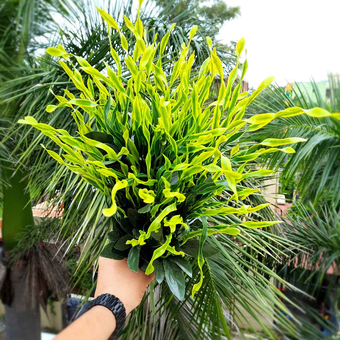 Artificial Plants and Flowers - For Home & Office Décor - ApkaMart