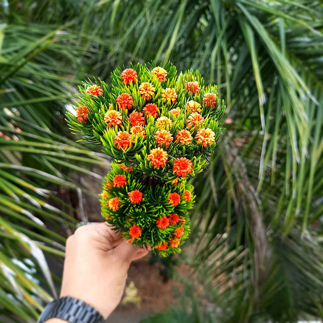 Artificial Plant with Pot- Apkamart #color_Orange