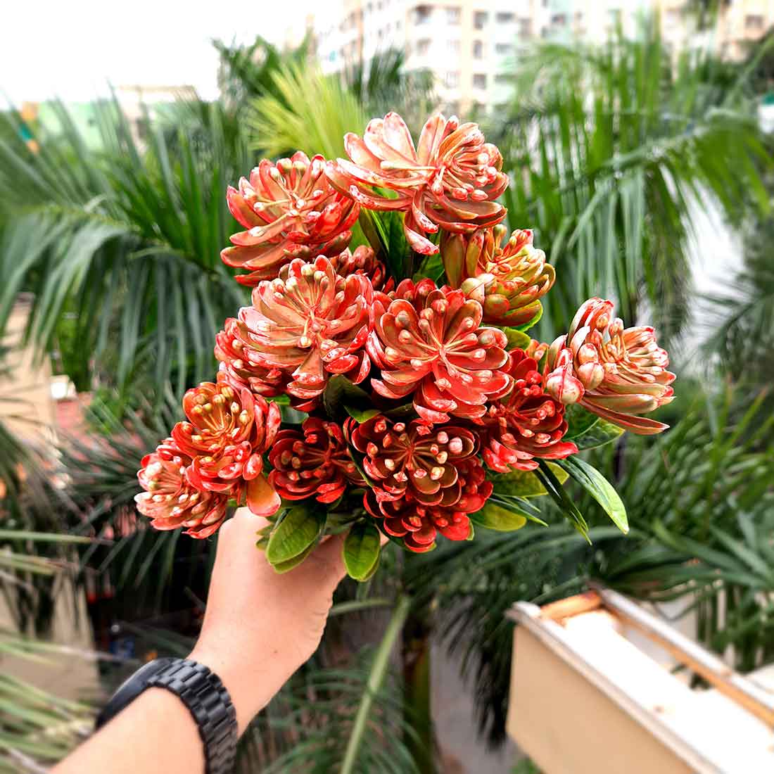 Artificial Flowers Bunch- Apkamart #color_Pink