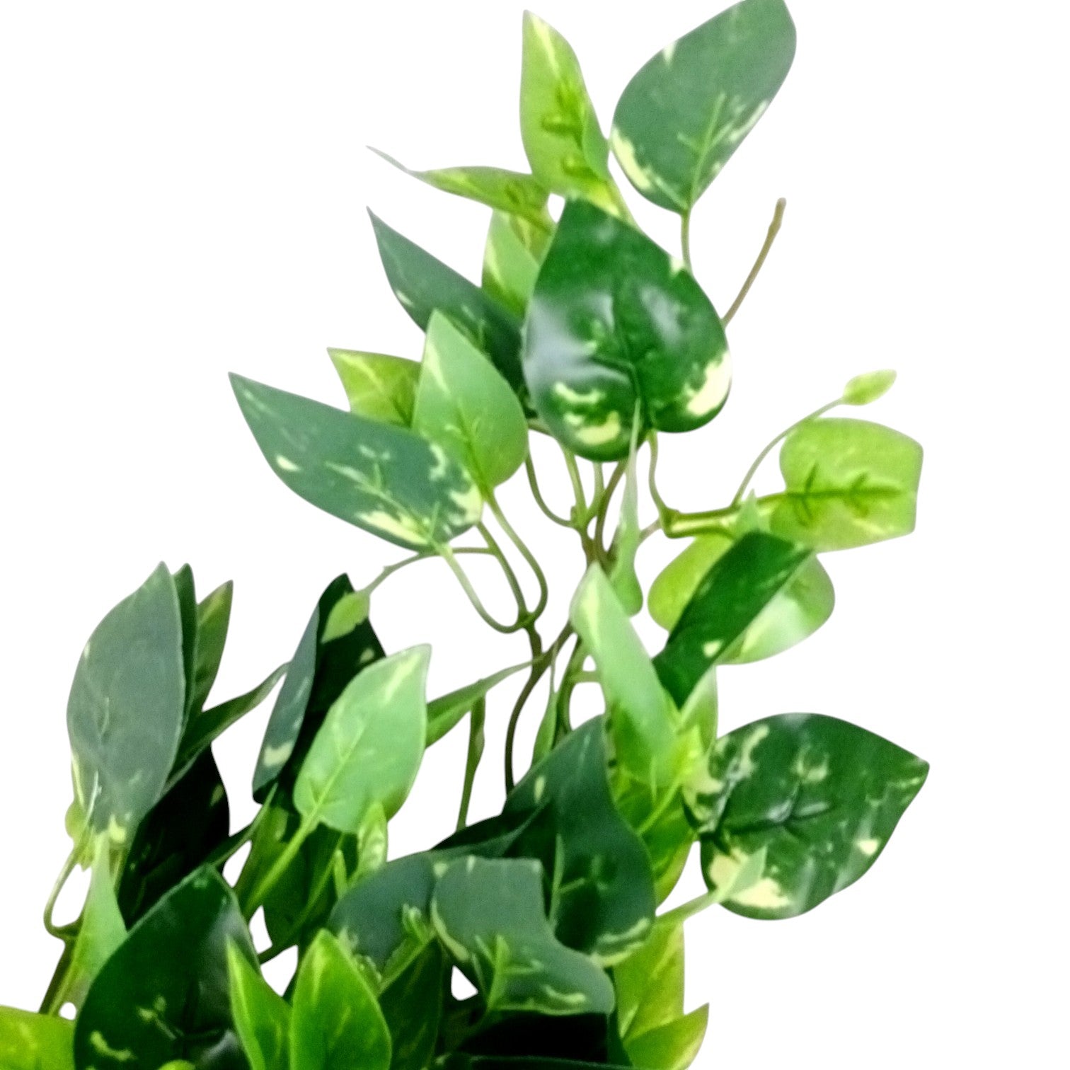 Artificial Leaf Bunch | Faux Vine Plant for Home, Balcony & Tabletop Decor | Realistic Indoor Greenery for Living Room, Office, Festive Decoration & Gifting - 16 Inch - Apkamart #Style_Design 1
