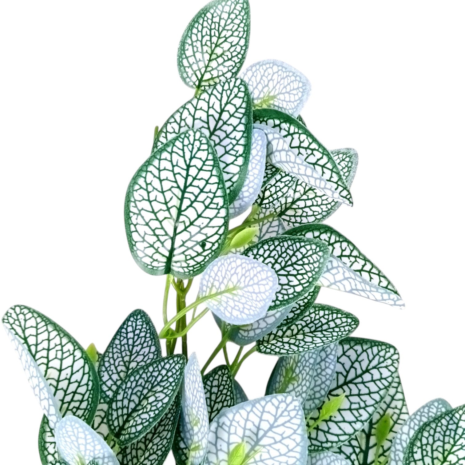 Artificial Leaf Bunch | Faux Vine Plant for Home, Balcony & Tabletop Decor | Realistic Indoor Greenery for Living Room, Office, Festive Decoration & Gifting - 16 Inch - Apkamart #Style_Design 2
