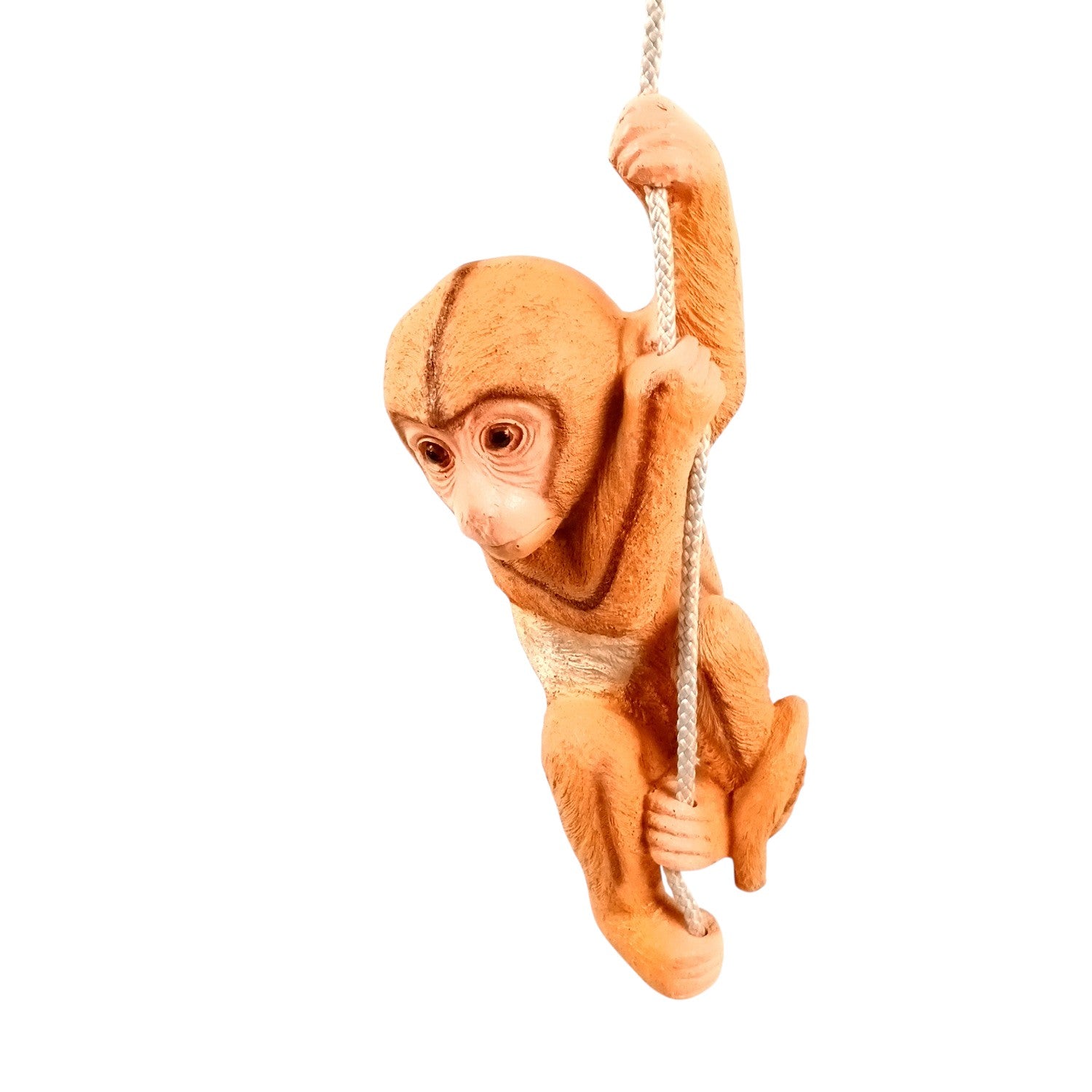 Monkey Hanging on Rope Wall Hanging | Decorative Animal Showpiece for Home, Garden, Living Room & Kids Room | Unique Wall Décor & Gift - 14 Inch - Apkamart