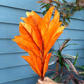 Artificial Flowers Bunch- Apkamart #color_Orange