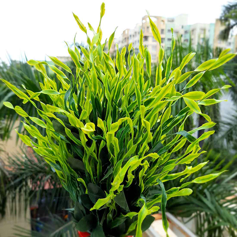 Artificial Plants and Flowers - For Home & Office Décor - ApkaMart